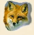fox thegame