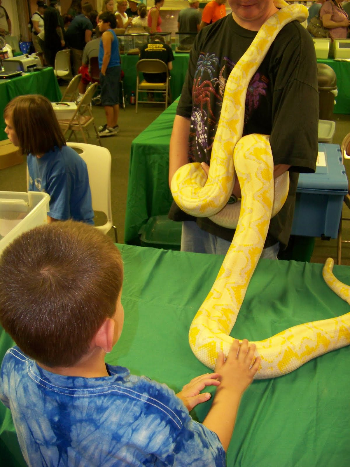 MAD Family Fun Reptiles are fun, really