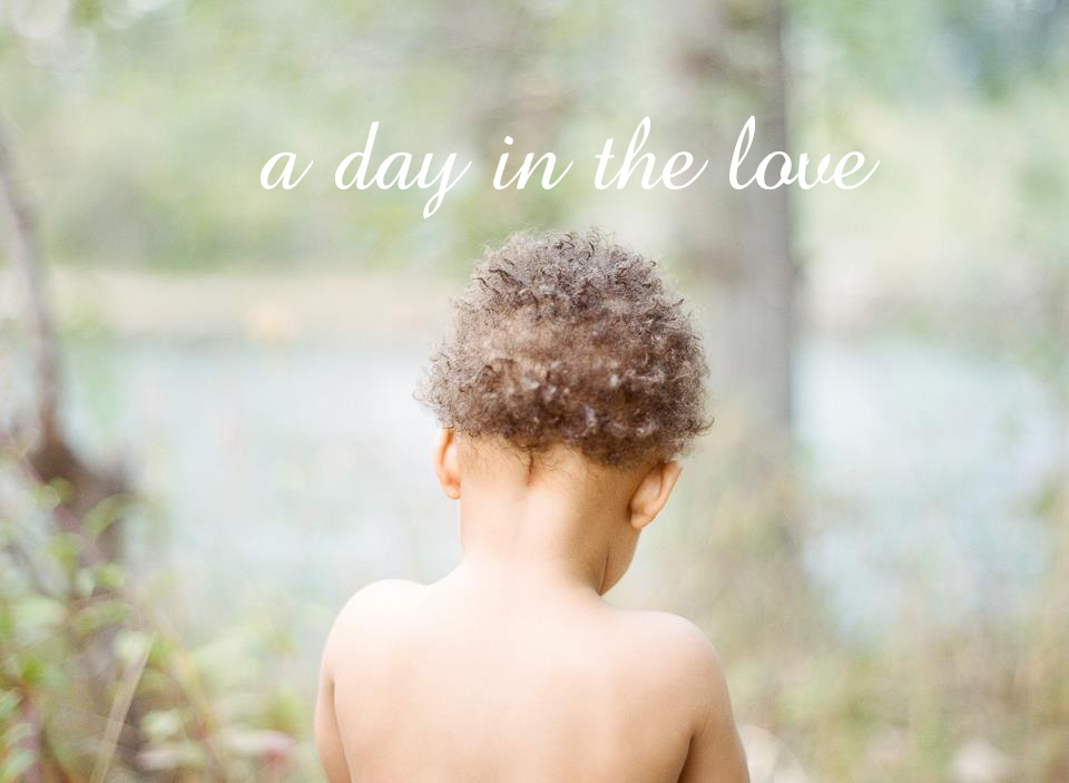     A Day In The Love