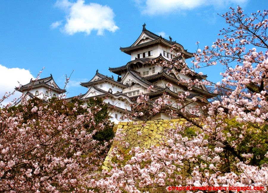 姫路城の桜 Cherry Blossoms at Himeji Castle Flickr Photo 姫路城の桜 Cherry Blossoms at Himeji Castle Flickr Photo
