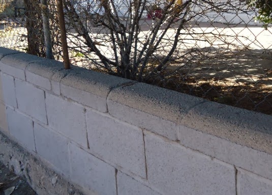 Nature Abhors a Garden: Cement Block Walls