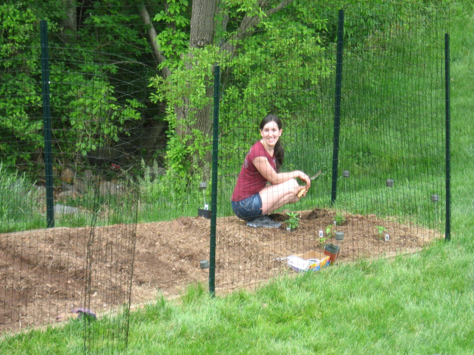 At the Lamppost: How to Keep Deer out of Your Garden