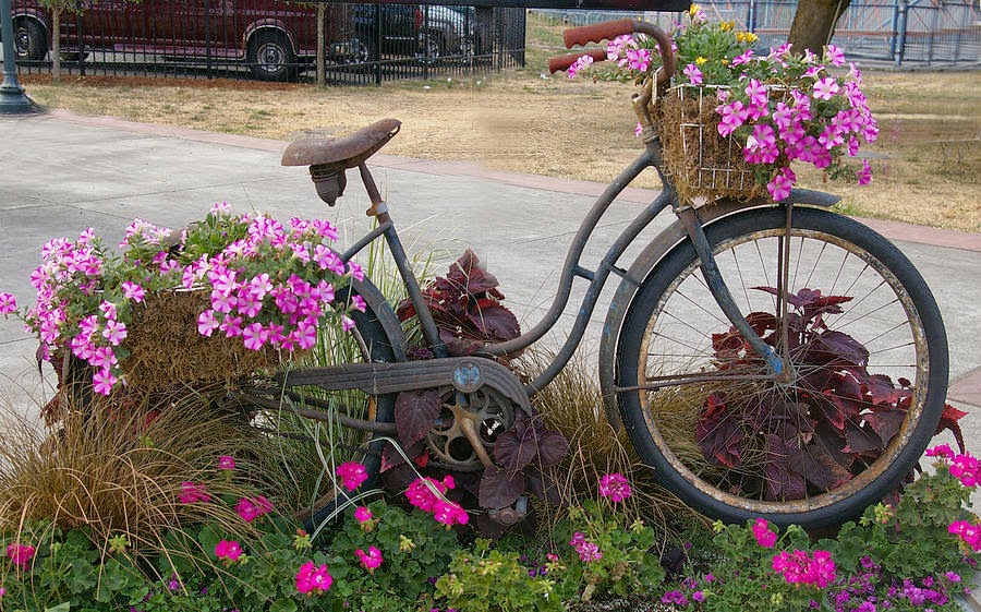 Resultado de imagen de bicicletas bonitas para mujeres