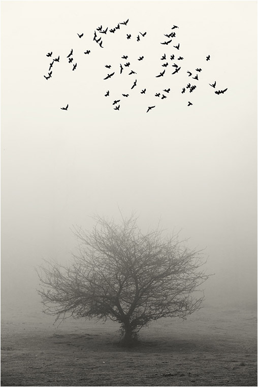 emerging photographers, Best Photo of the Day in Emphoka by Oskar Zapirain, https://flic.kr/p/rsCYvs emerging photographers, Best Photo of the Day in Emphoka by Oskar Zapirain, https://flic.kr/p/rsCYvs