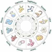 Zodiac shows 12 signs of horoscopes