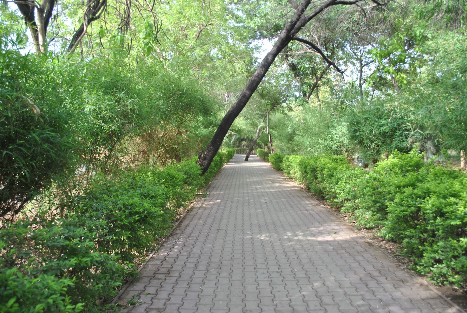 indroda park gandhinagar indroda park gandhinagar