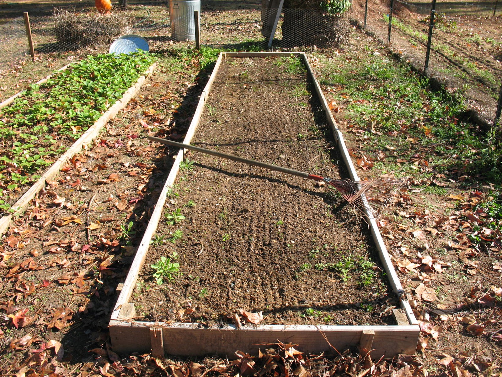 Sensible Survival Winter Care for Your Asparagus Beds