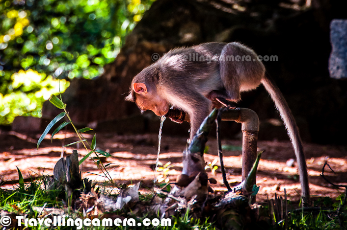 Wildlife Photo Journey in Bannerghatta National Park, Bangalore