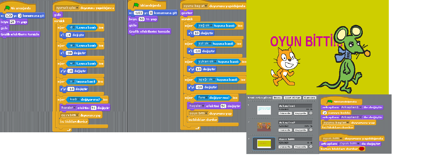 Bir üniversitelinin günlüğü Scratch kedifare oyunu