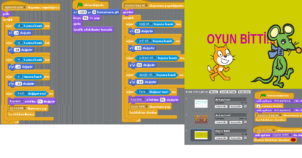 Bir üniversitelinin günlüğü Scratch kedifare oyunu