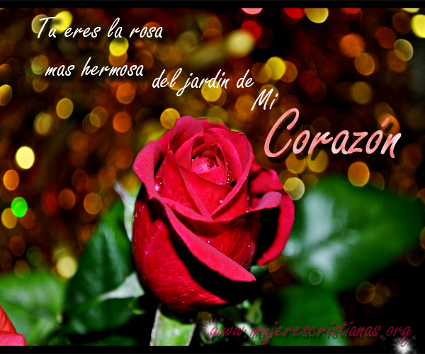 mujeres cristianas org