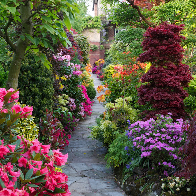 Pathway through the spring middle garden