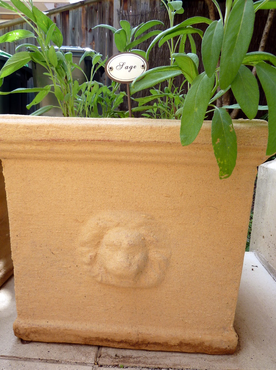 Stylish Settings A Herb Garden and Liquid Sandstone