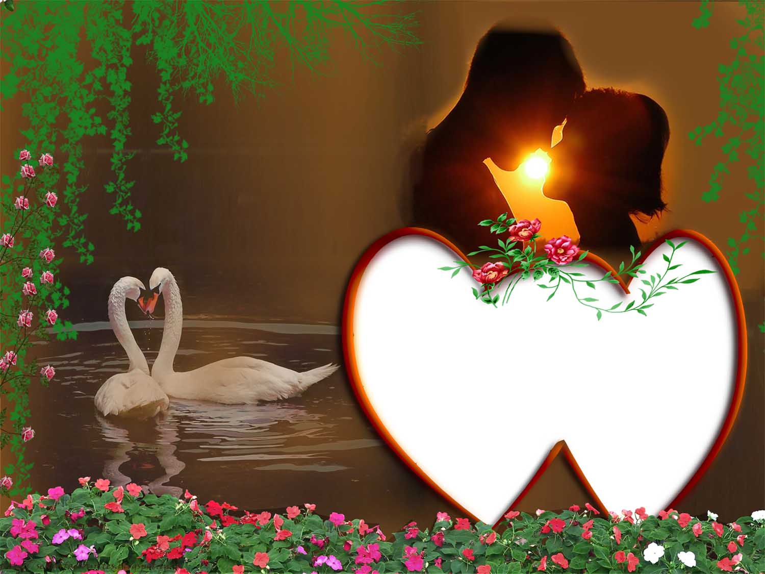 wedding photos background album