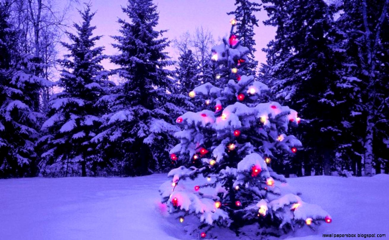 christmas desktop wallpaper