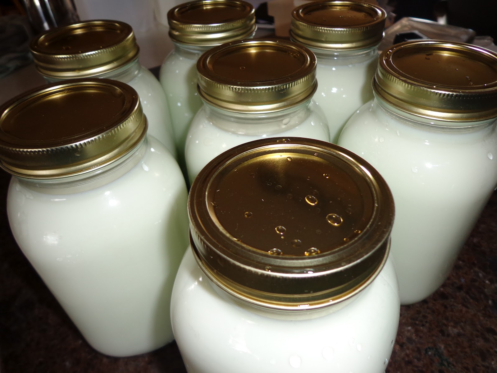 Canning Milk Frugal Living on the Ranch