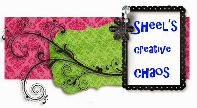 Sheels Creative Chaos