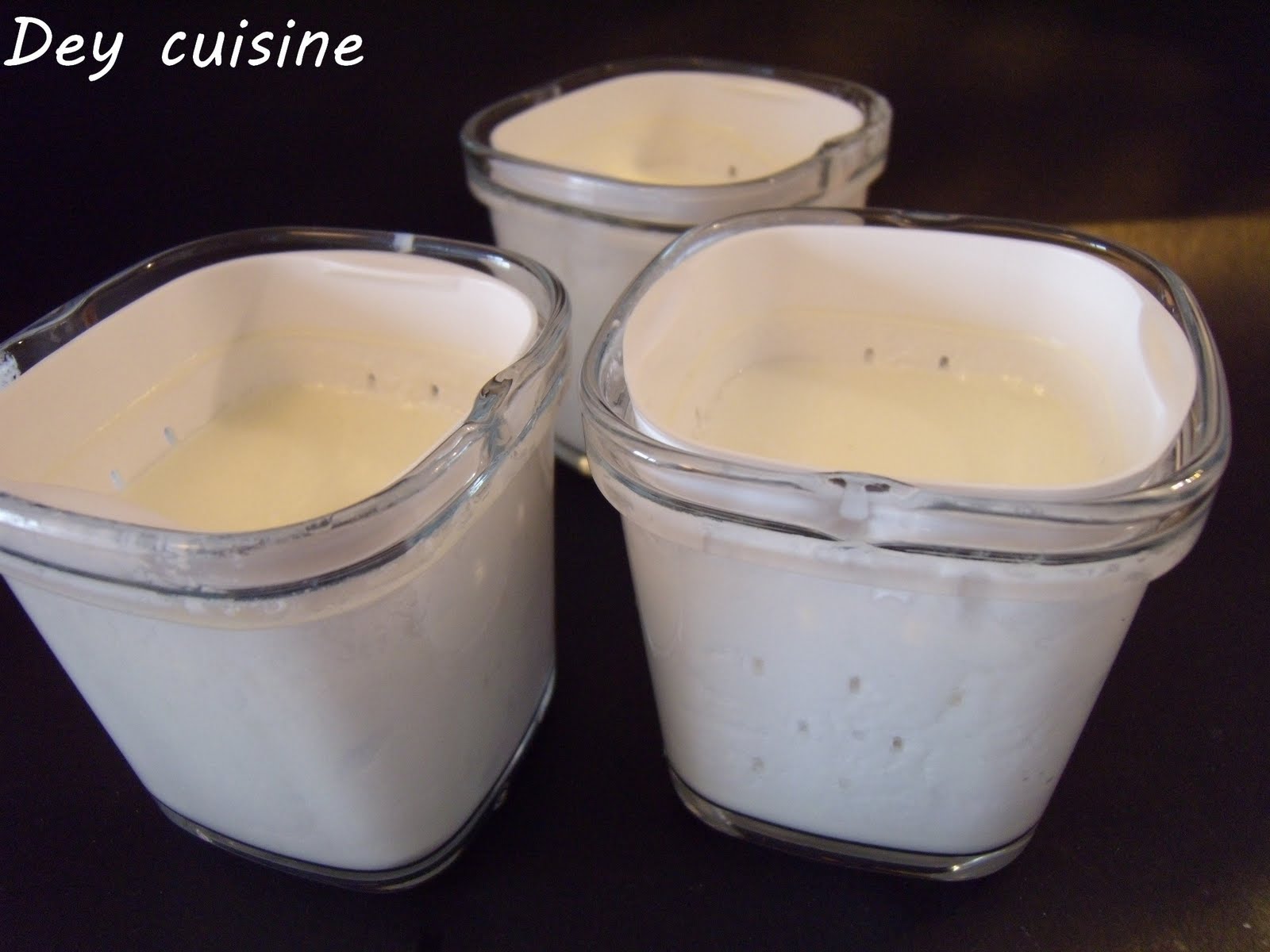 Faisselles pour yaourtière Multi-Délices SEB