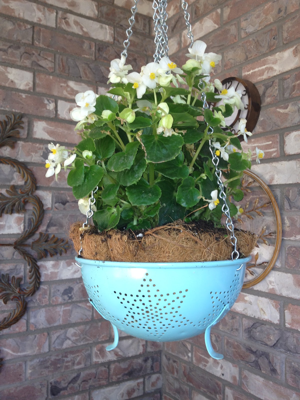 How to Make a Hanging Planter from A Colander