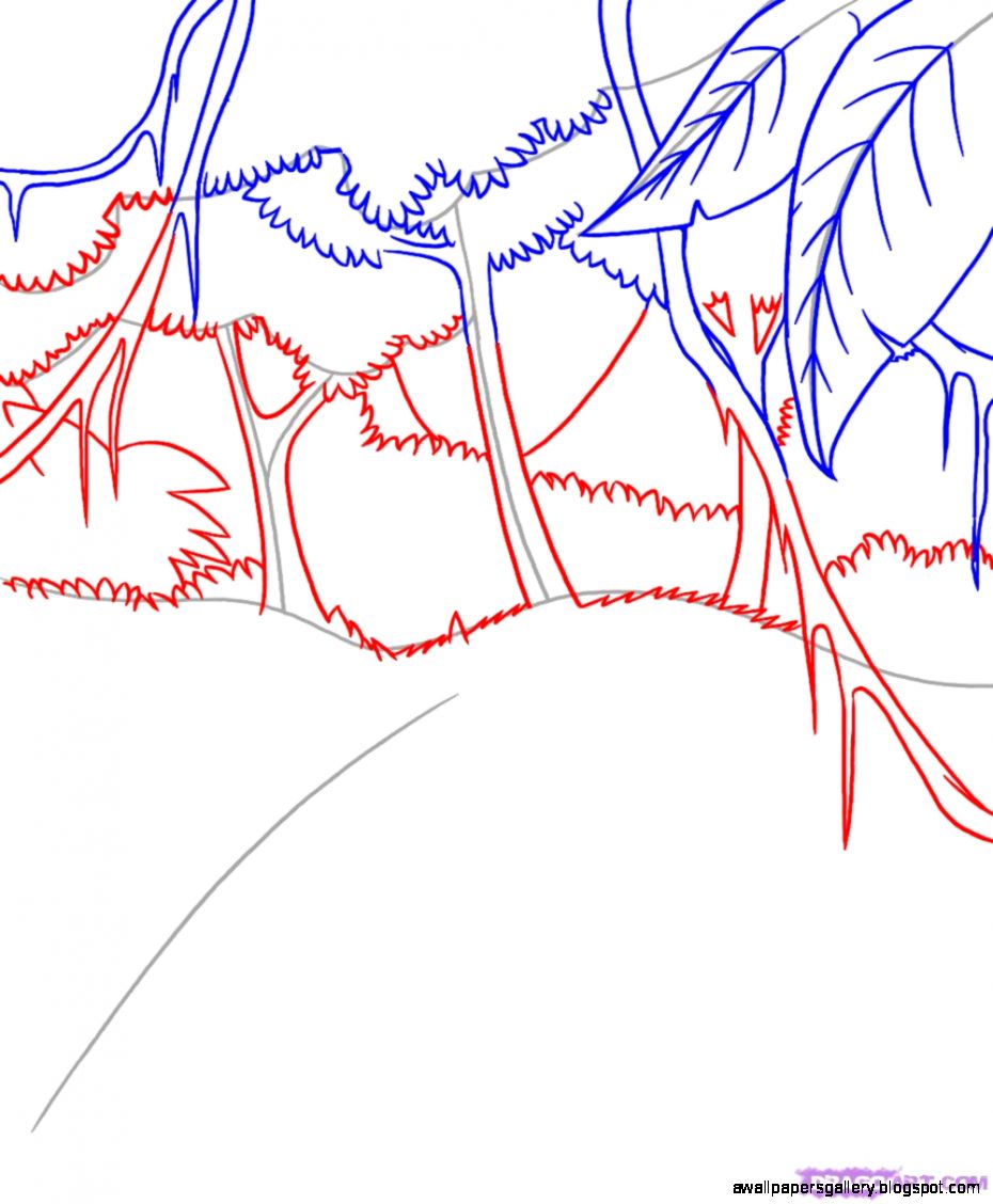 How to Draw a Rainforest Step by Step Landscapes Landmarks How to Draw a Rainforest Step by Step Landscapes Landmarks