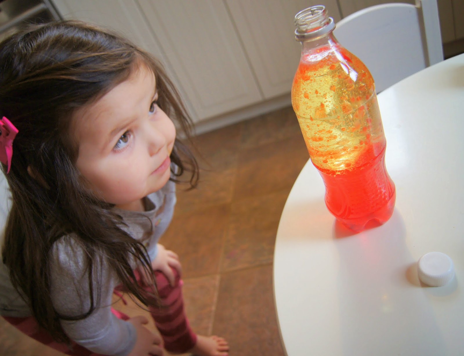 Lava Lamp Experiment, Science At Home "Making Montessori Ours"