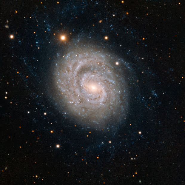 Spiral Galaxy NGC 1637 and Supernova SN 1999em