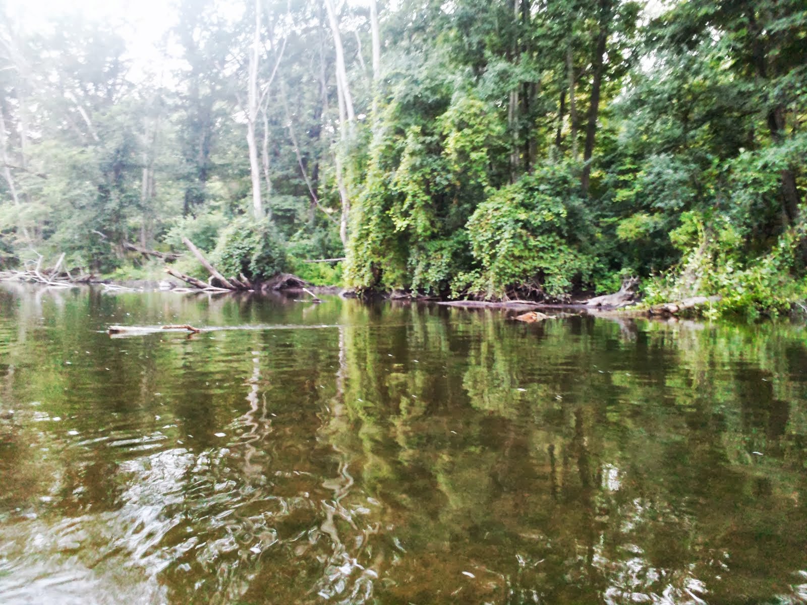 Jeff Smith's Blog Fly fishing the Huron River at DexterHuron