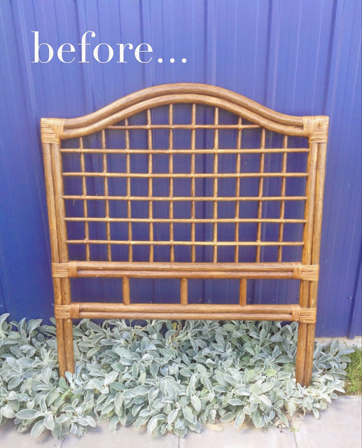 apprentice extrovert Before And After Cane Bedheads