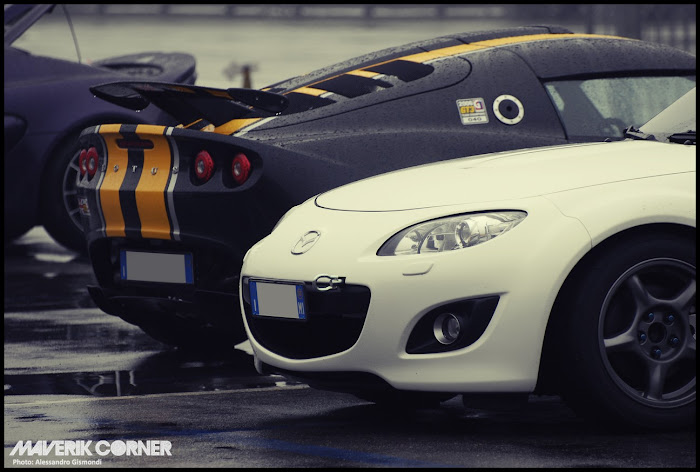 [Immagine: Varano_LLCC_201125.jpg]