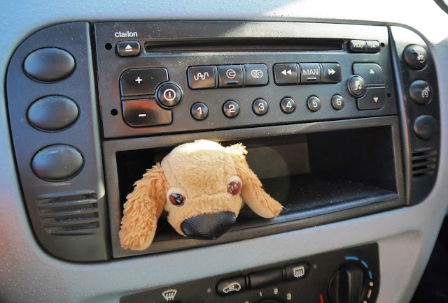 Small dog mascot in the car