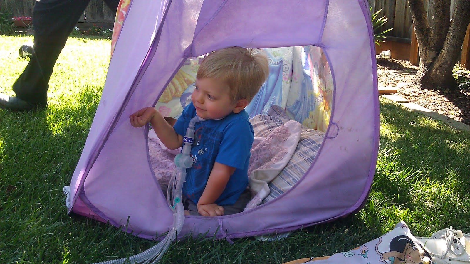 SMARDy Pants Tent