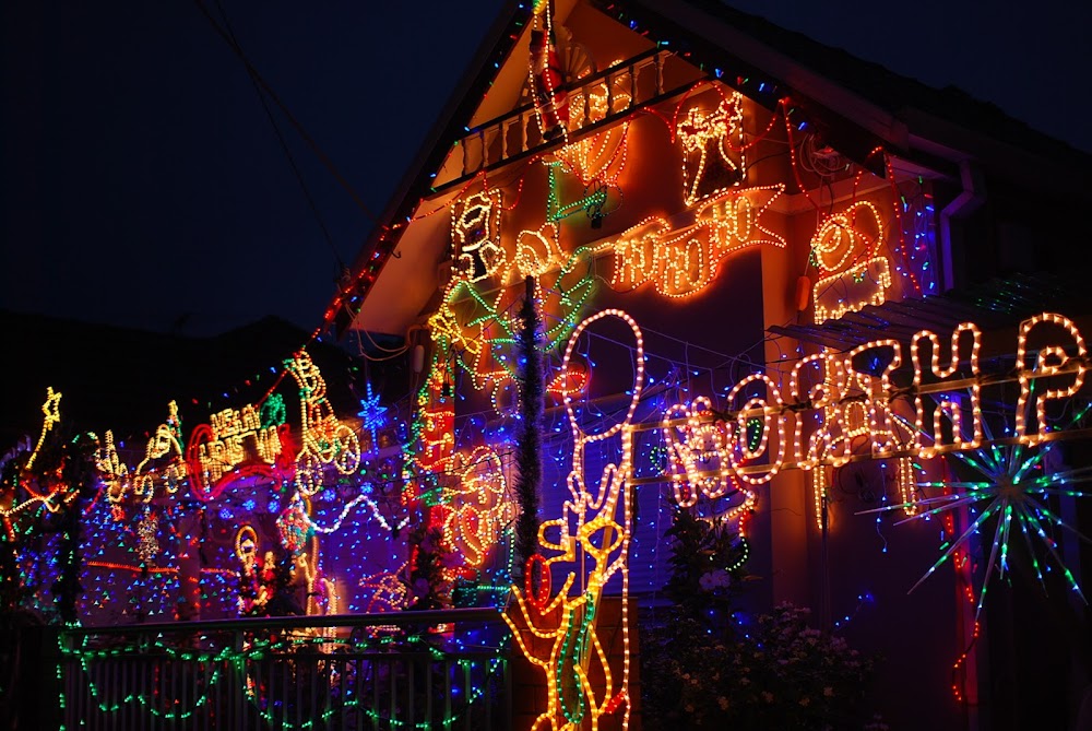 Lucy and The Runaways Sydney Christmas Light Hunting 2012