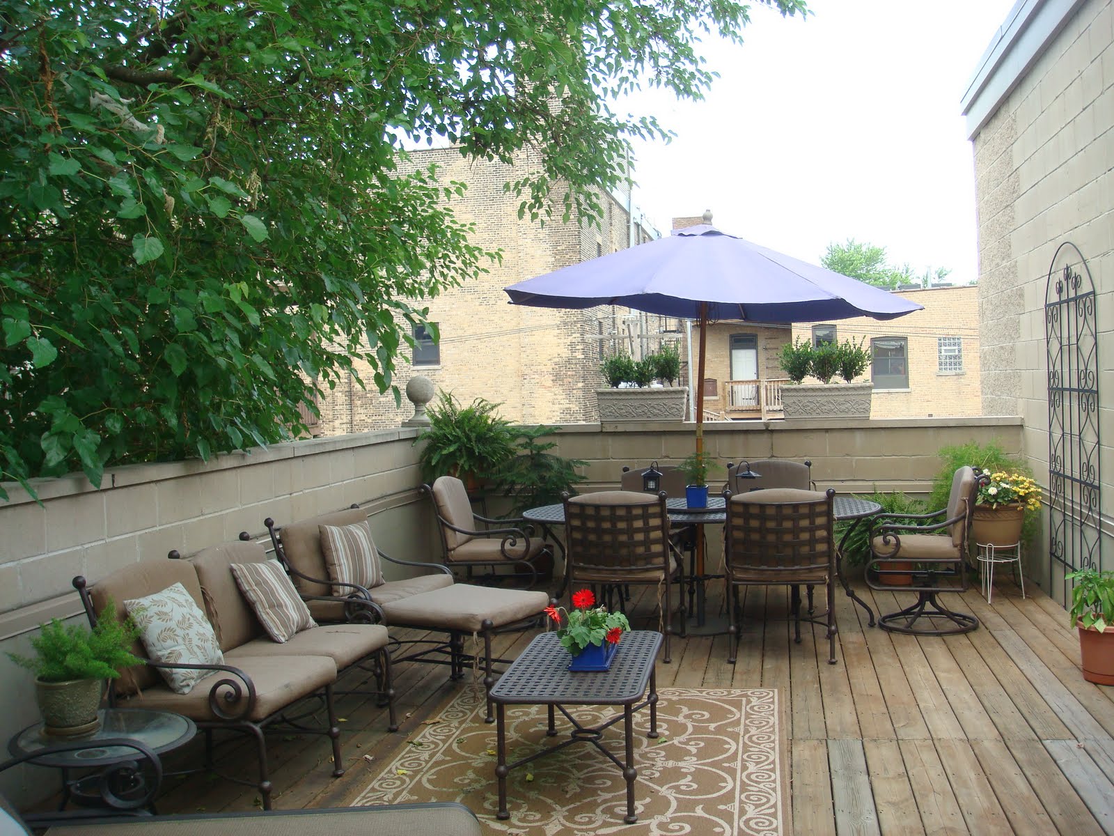 The Chicago Real Estate Local Open House Sunday! Huge Penthouse, Roof