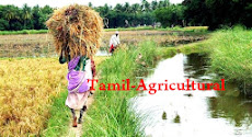 Tamil-Agricultural