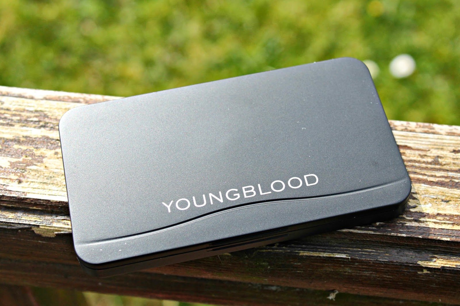 Youngblood Mineral Cosmetics Brow Artiste Blog Review
