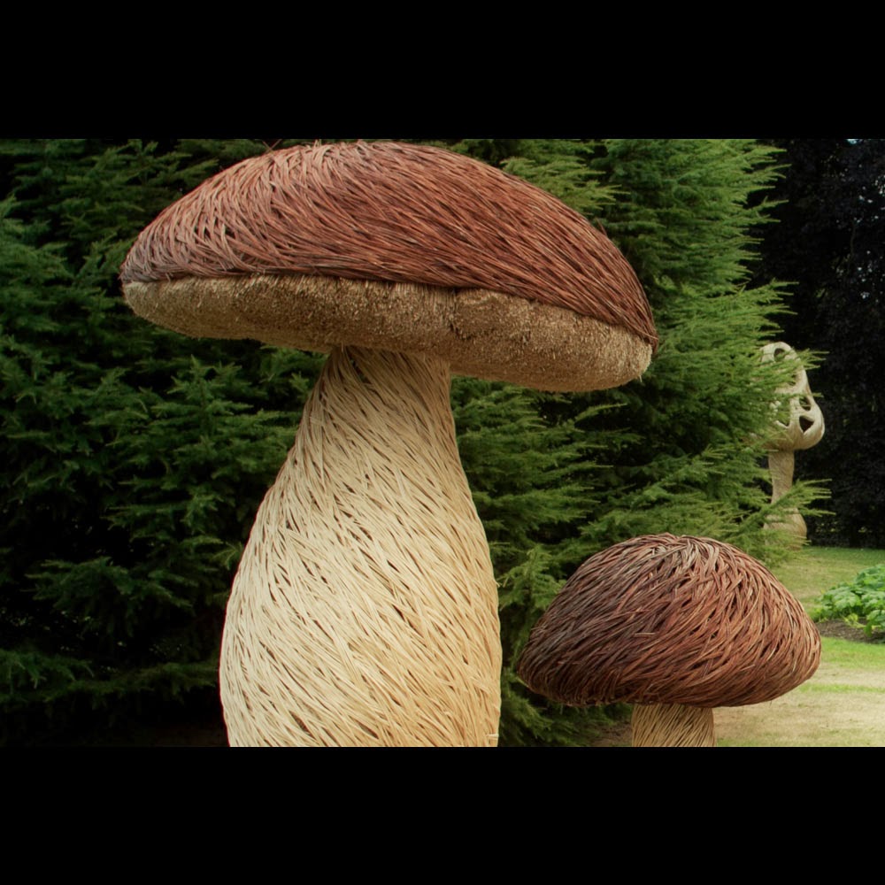 tom hare fungi sculpture fairy ring giant mushroom photography botanical garden kew park (3) tom hare fungi sculpture fairy ring giant mushroom photography botanical garden kew park (3)