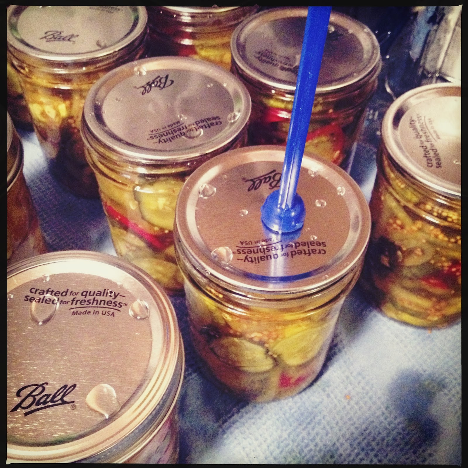 BostonRy's Kitchen BostonRy's Sweet Hot Pickles