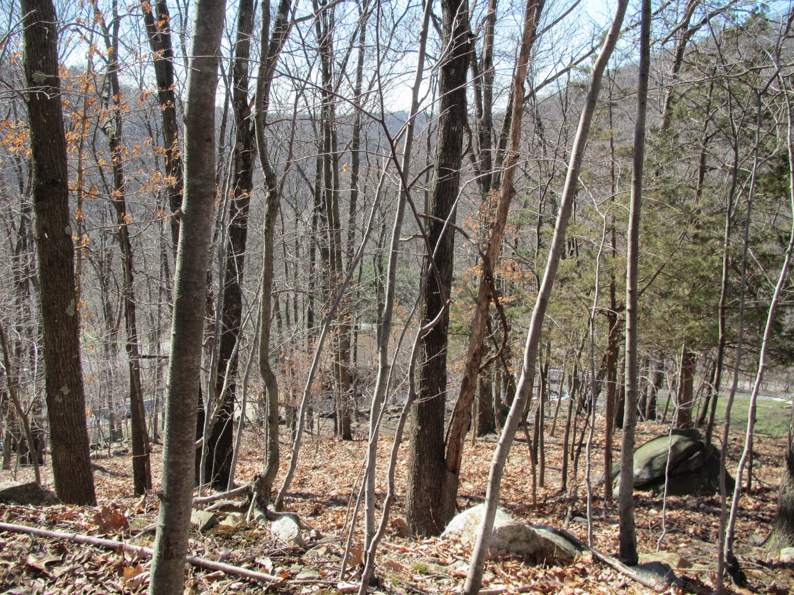 Joel Campbell (17351828) His Life and Times A Visit to Continental