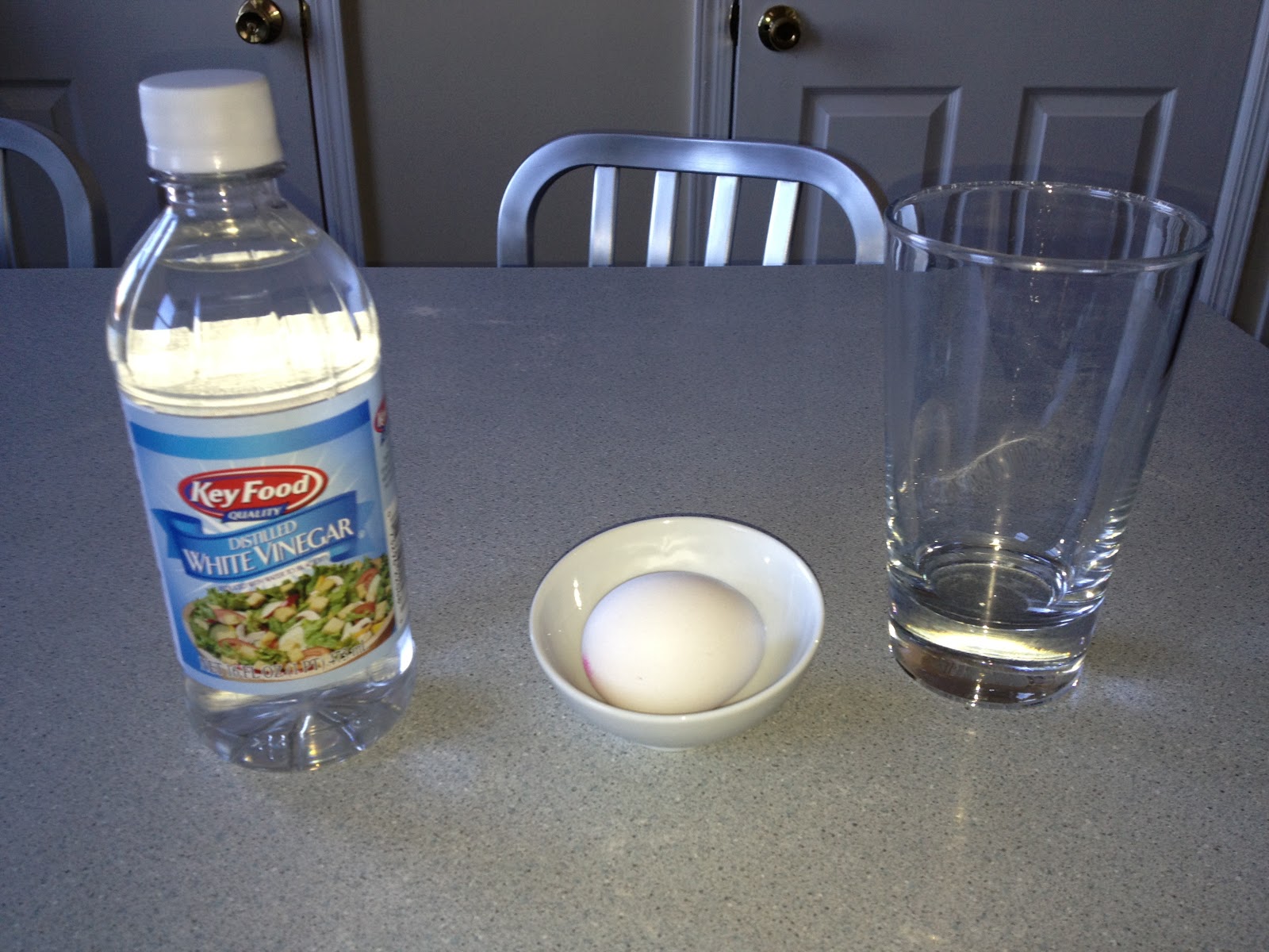 Science Experiments ★ ★ BOUNCING EGG