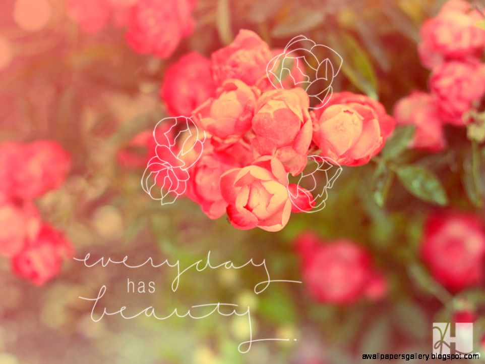 1000 images about photo on Pinterest Desktop Wallpapers 1000 images about photo on Pinterest Desktop Wallpapers