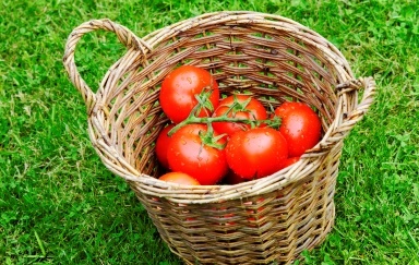 Manfaat Masker Tomat Untuk Kulit Wajah Dan Cara Membuatnya - Berita Terkini