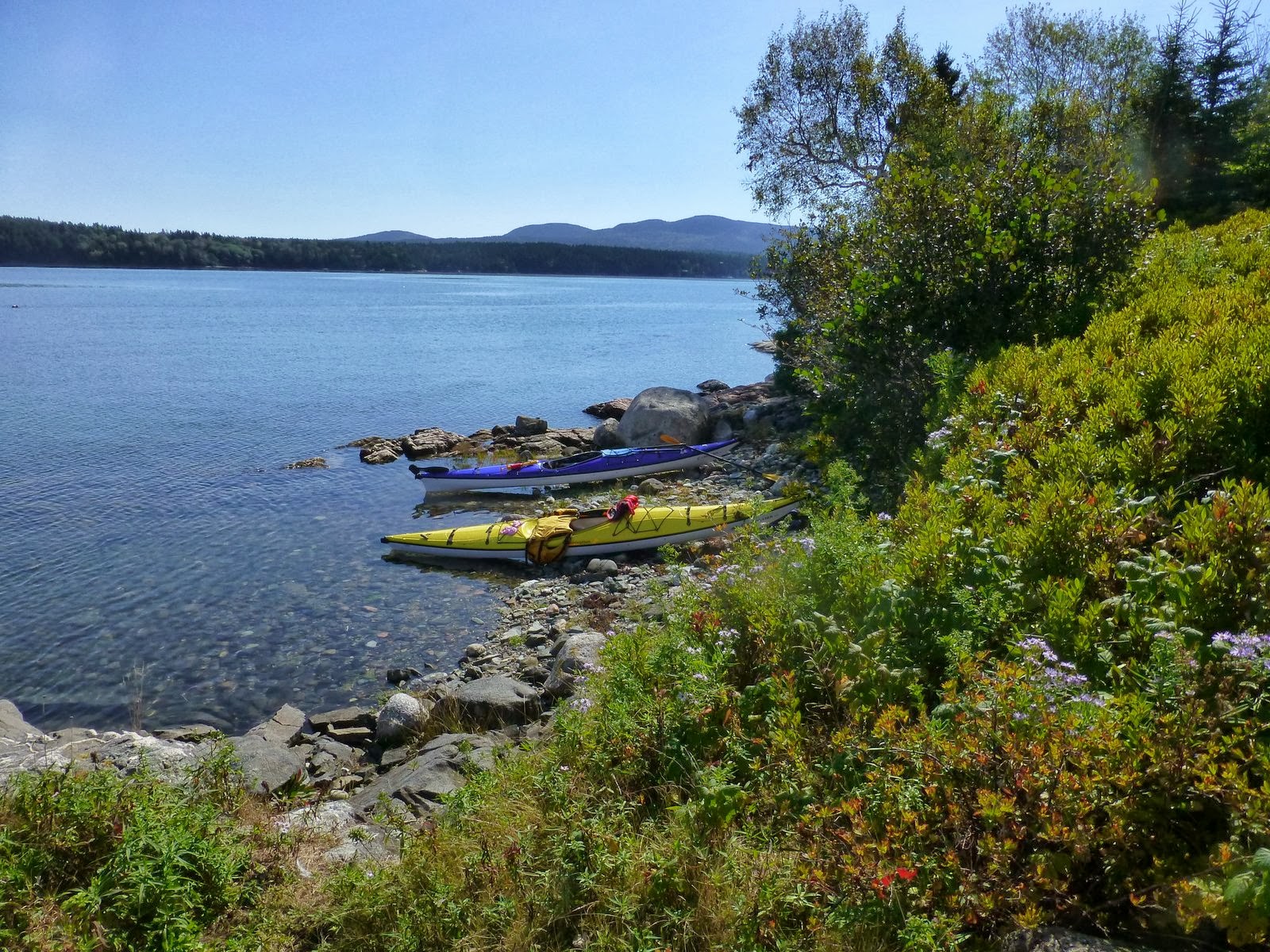 Off on Adventure Kayaking Bartlett Narrows & Seal Cove Acadia