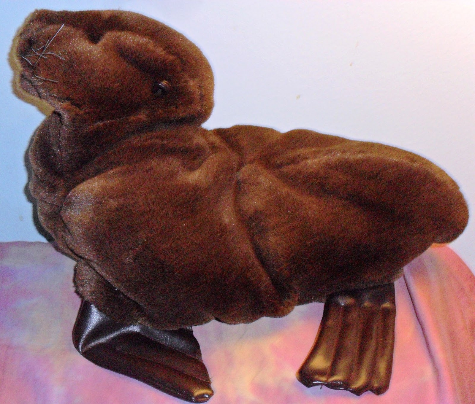 Beyond the Book Storytimes Seals on the Bus, Baby Driving