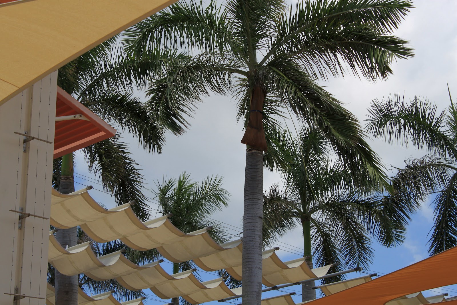 Grand Cayman - Camana Bay