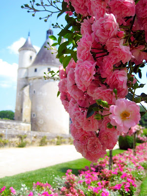 Chateau+&+Roses.JPG