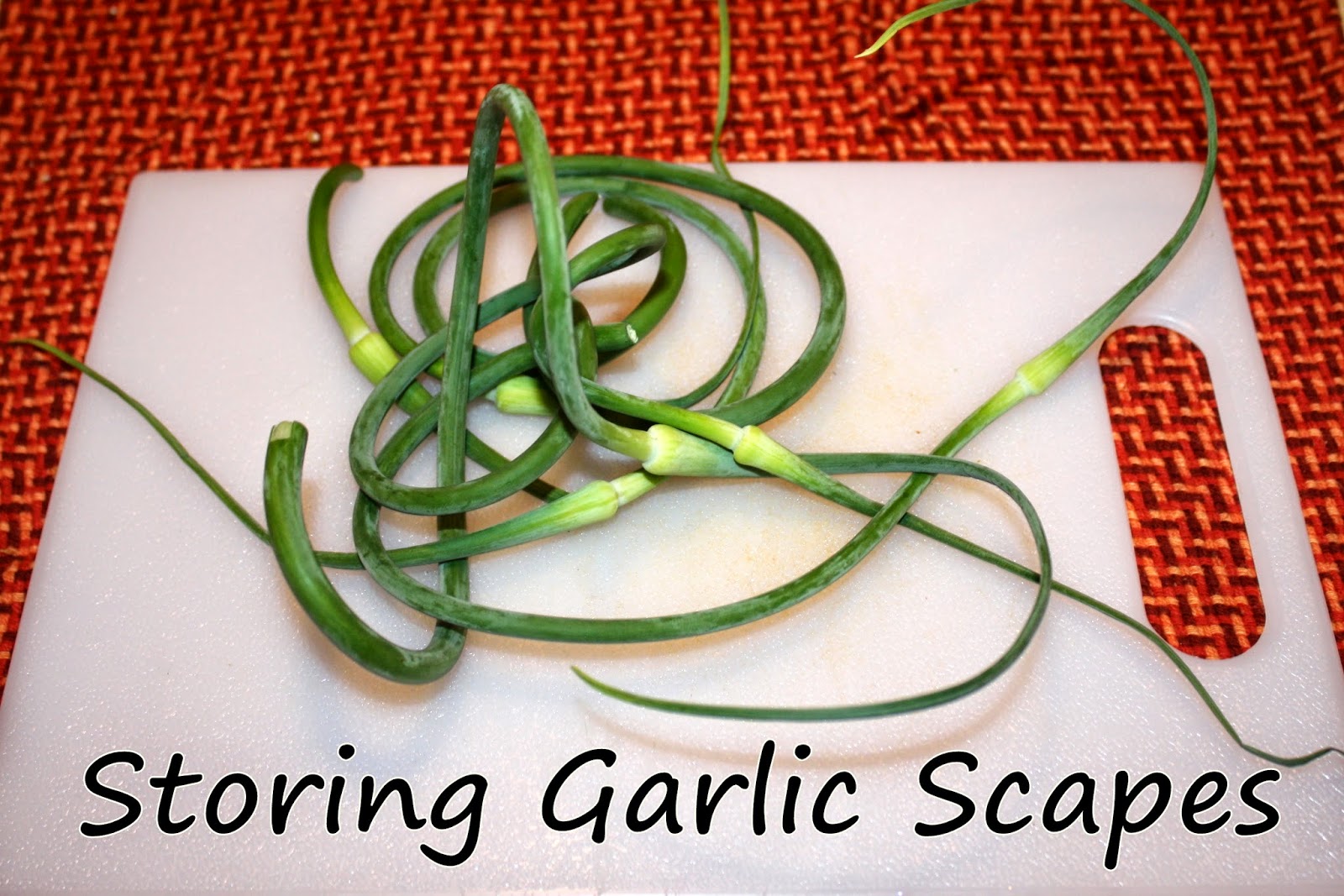 Sew Much To Say Storing Garlic Scapes