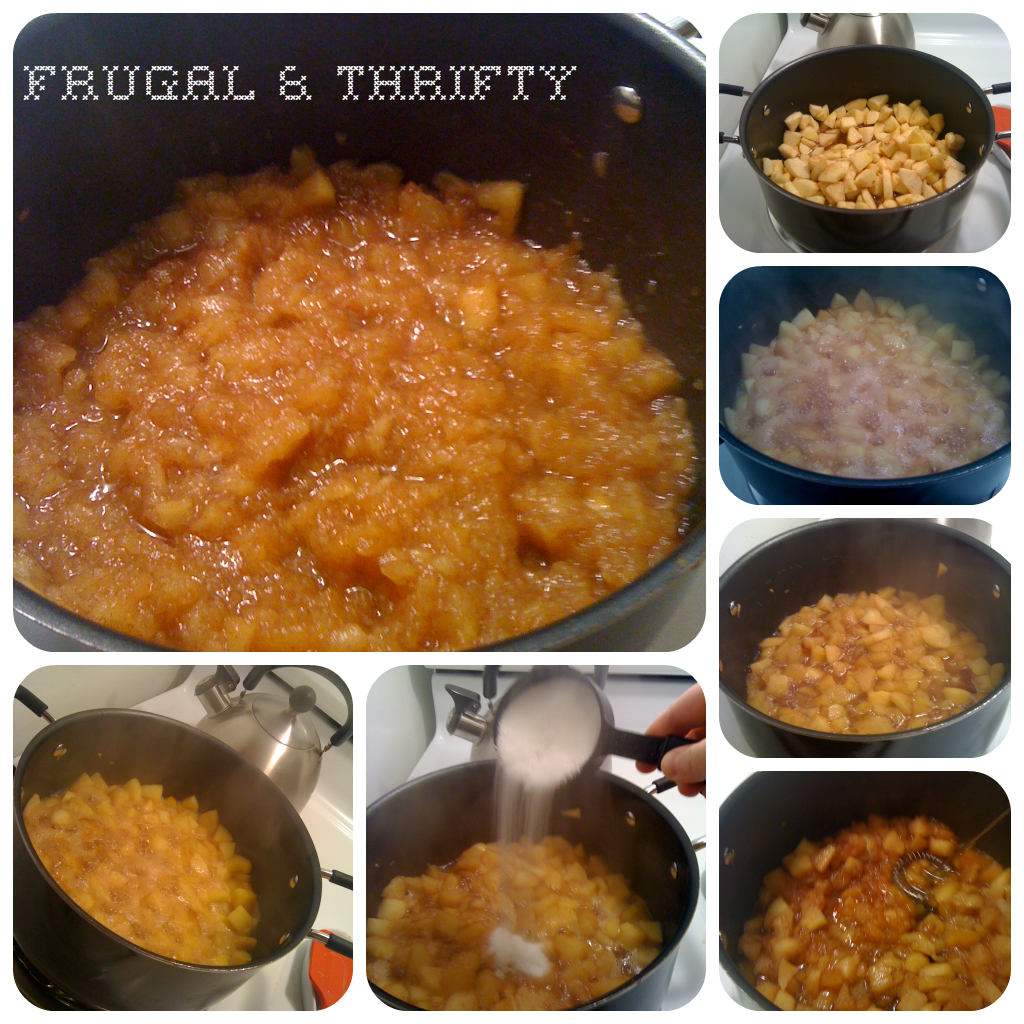 Frugal & Thrifty Recipe Homestyle Apple Sauce!