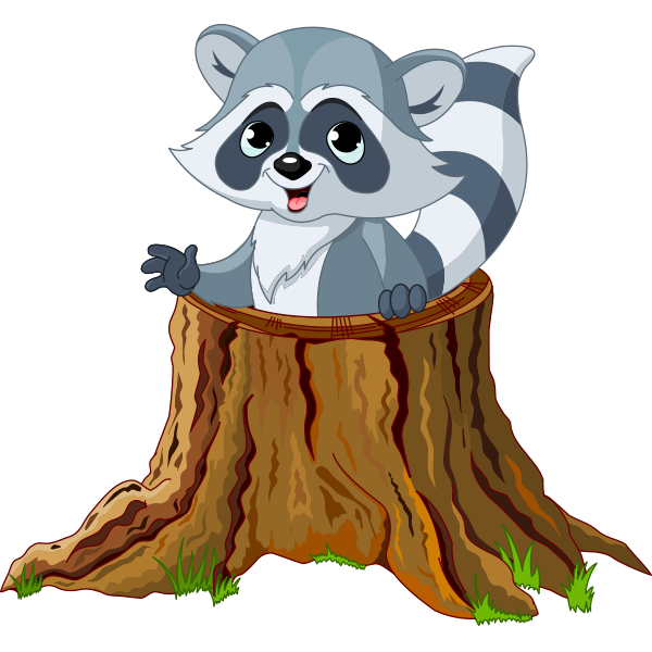 Tree Stump Raccoon