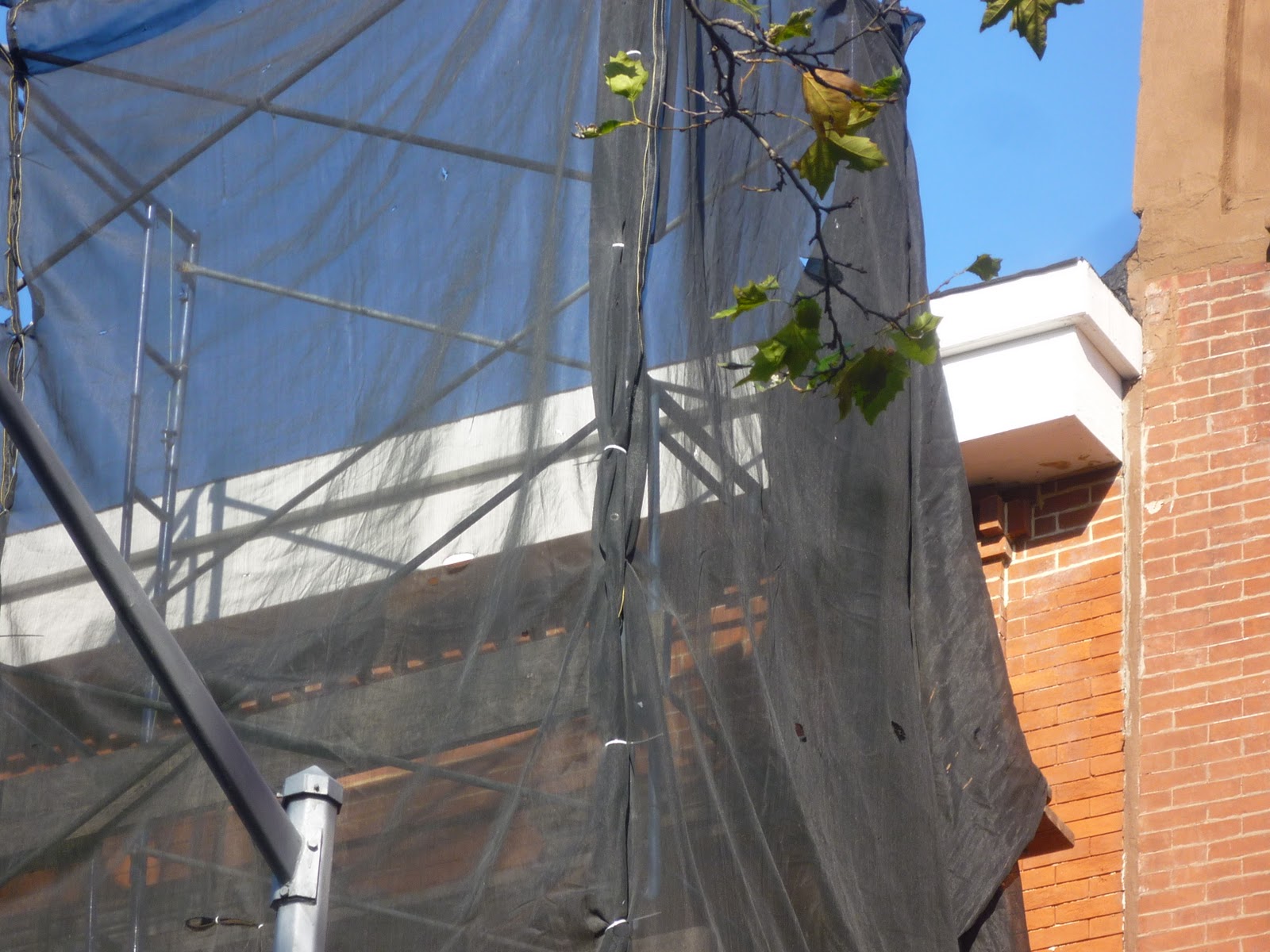 Lost City Rat Squirrel House Gets New Cornice
