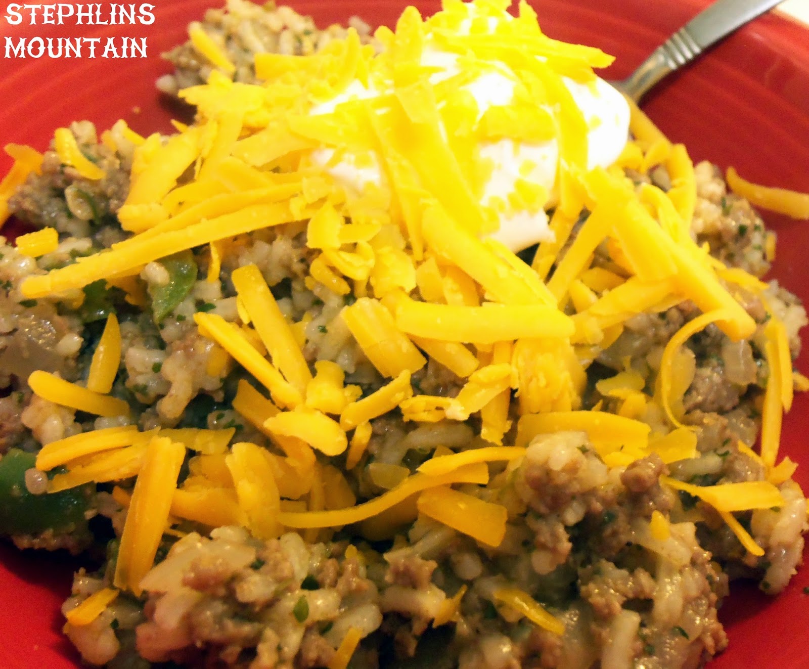 Stephlin's Mountain Easiest Dirty Rice Recipe I Could Find